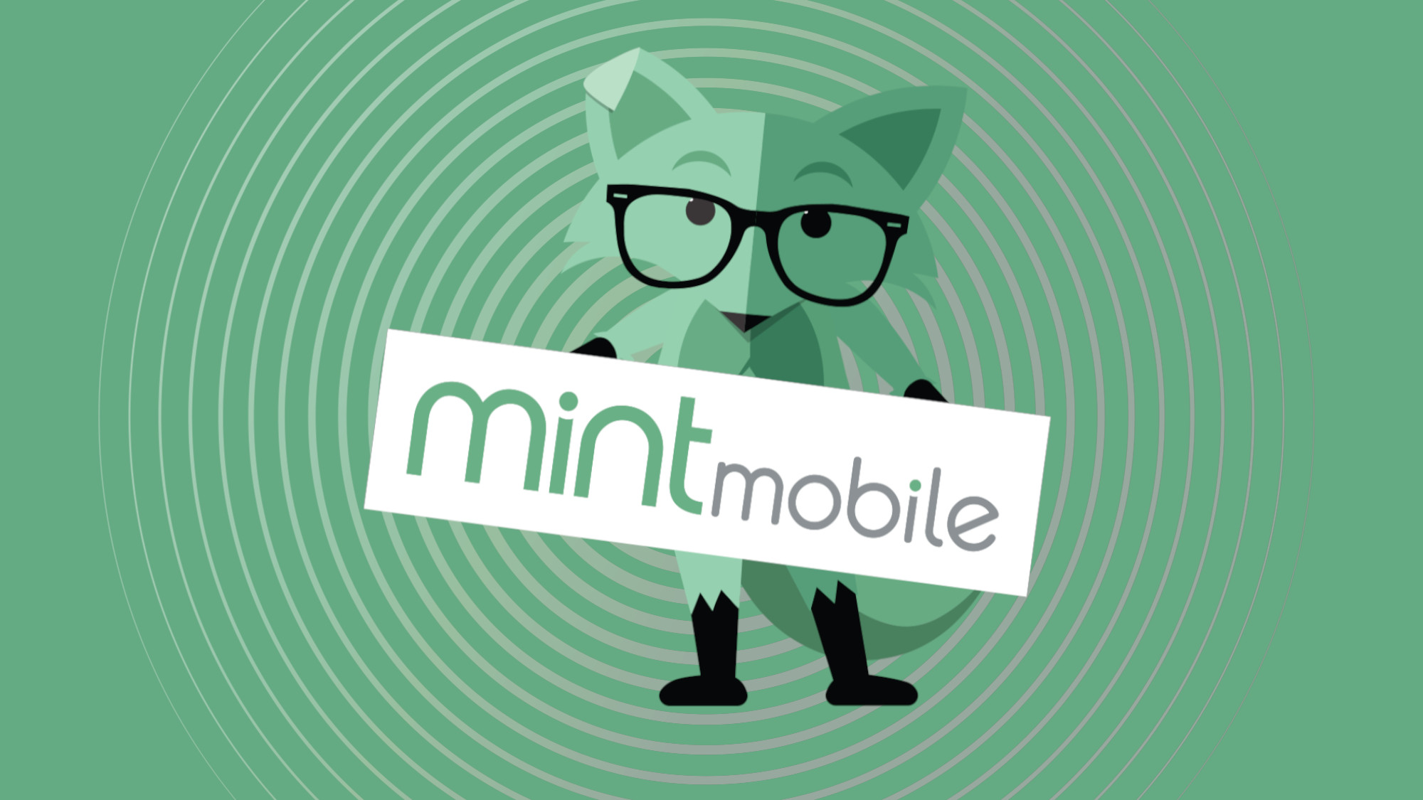 Mint Mobile vs Ultra Mobile - The Better Mobile Plan for You