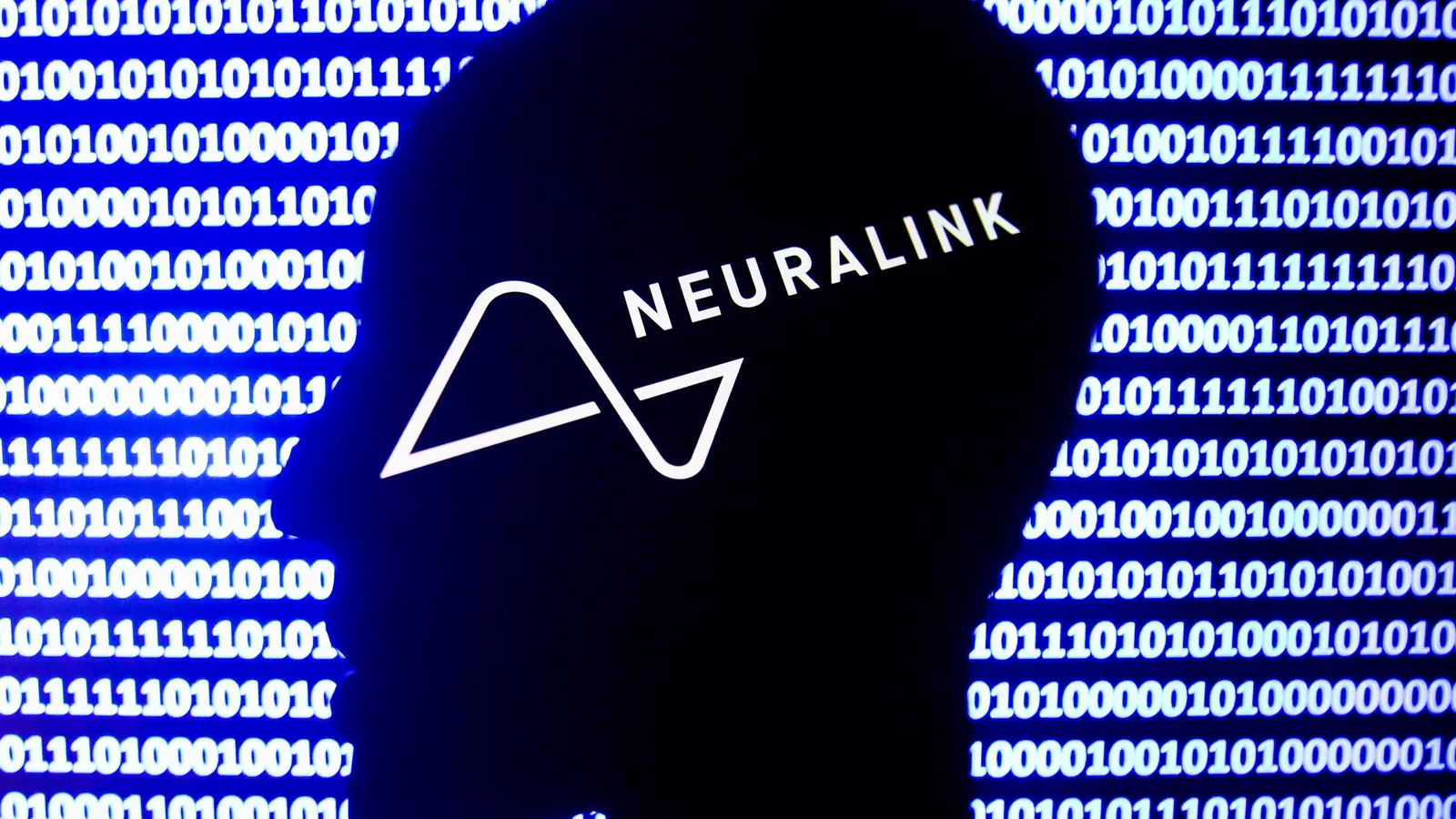Elon Musk's Latest Venture Hits a Snag: Inside the FDA's Findings on Neuralink's Lab Practices