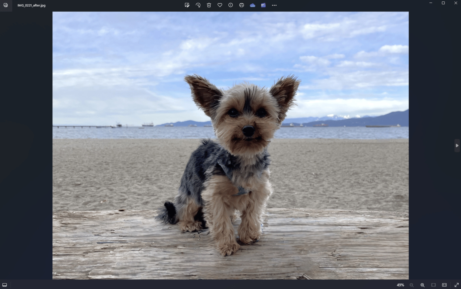Microsoft Unveils Game-Changer for Photo Fans Say Goodbye to Photobombs with New AI Magic in Windows App--