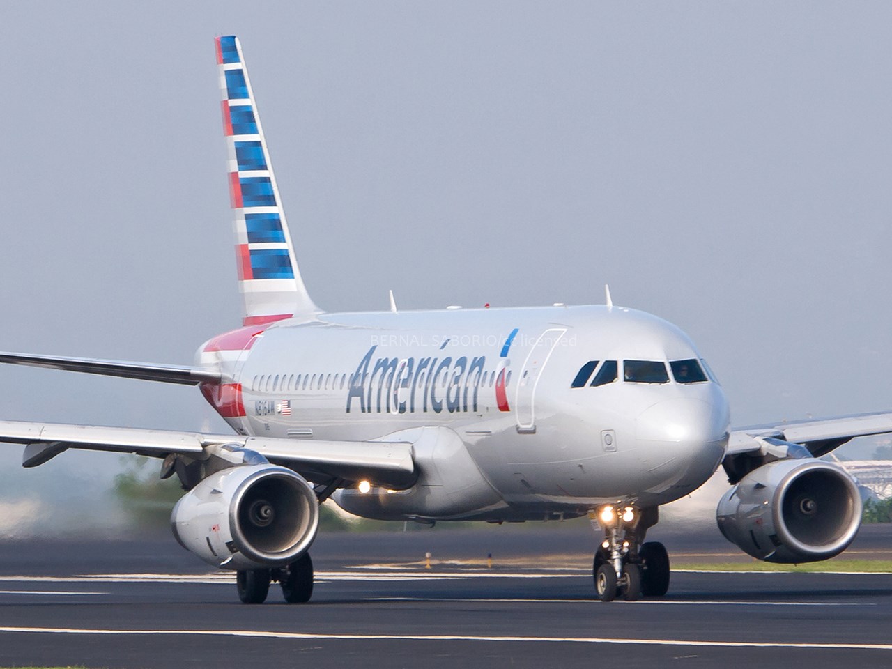 American Airlines Welcomes Furry Friends: A Fresh Take on Flying with Pets
