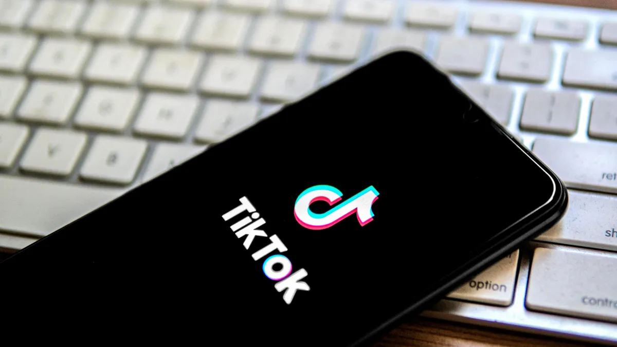 Breaking Down TikTok's Big Challenges Canada's Security Checks and the Threat of a US Shutdown--