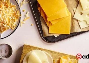 Cheese Lovers Beware: Major Recall Hits Stores in 15 States Over Health Fears