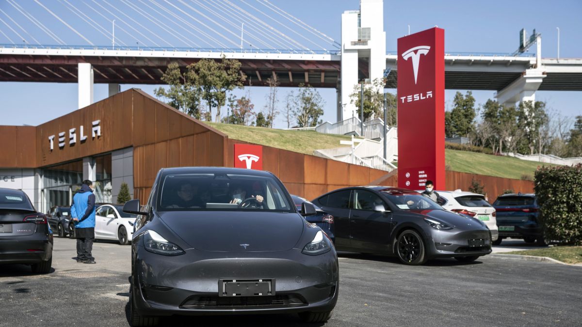 Elon Musk's Electric Dream Hits a Bump: Inside Tesla's Shocking Slide to the Bottom of the Stock Market