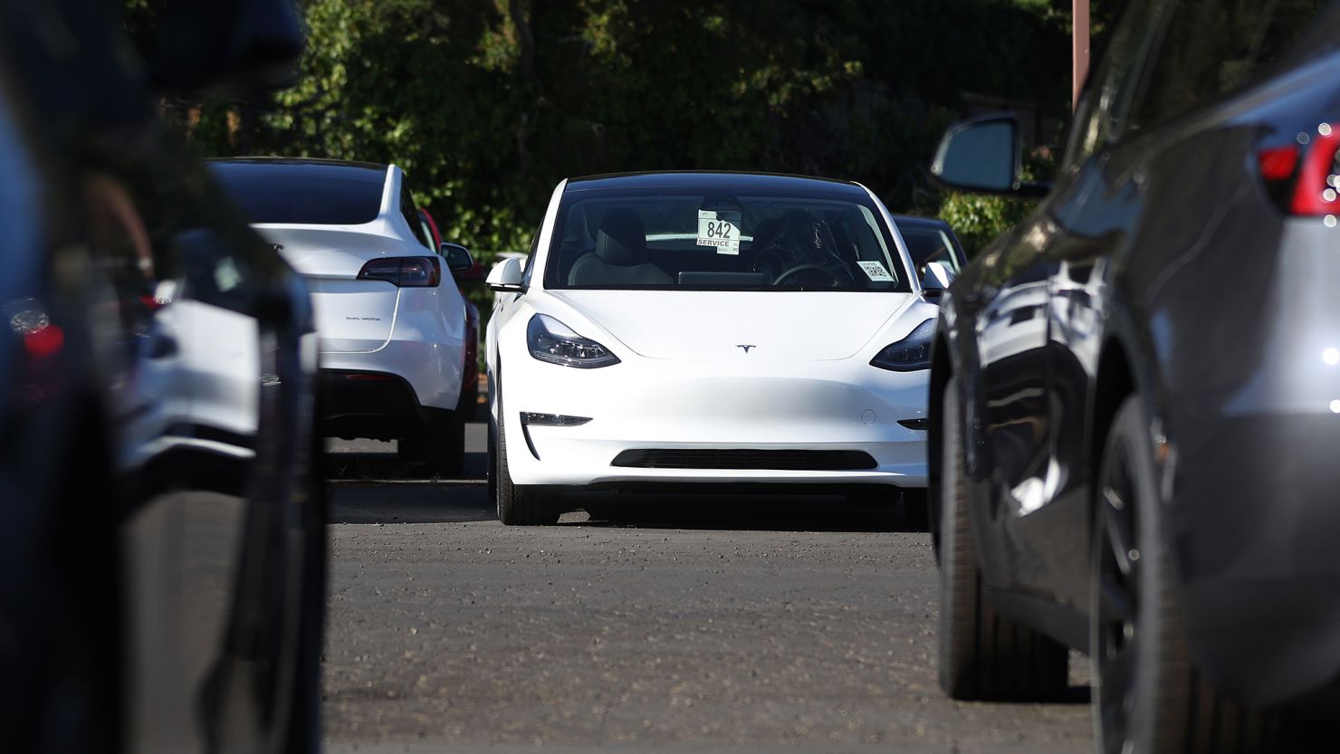 Elon Musk's Electric Dream Hits a Bump: Inside Tesla's Shocking Slide to the Bottom of the Stock Market