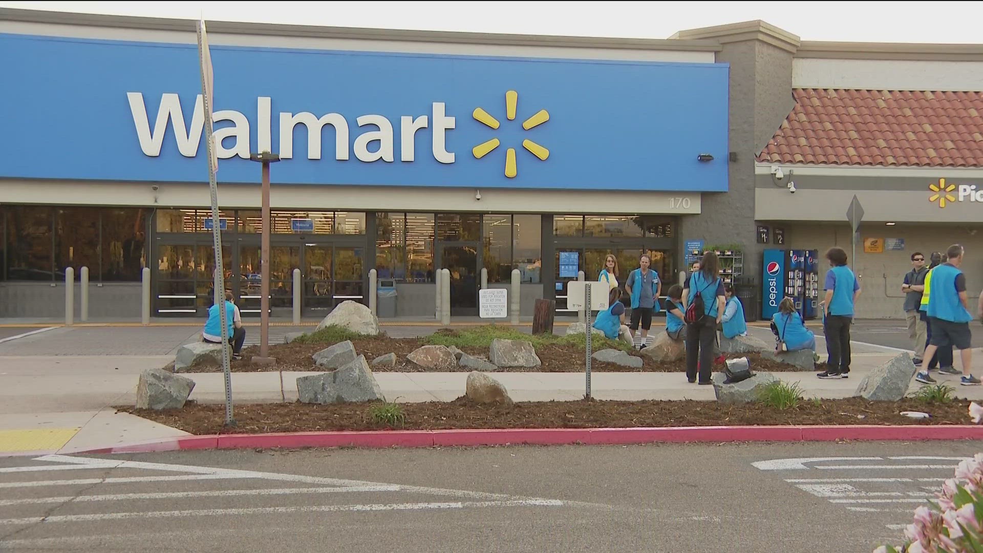 Is Shopping at Walmart Getting Pricey? Why You Might Pay More to Skip the Line