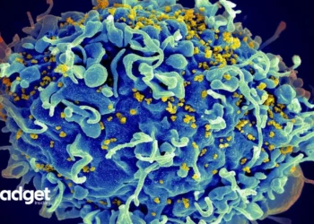 Revolutionary Breakthrough CRISPR's Role in Cutting HIV Out of the Picture1