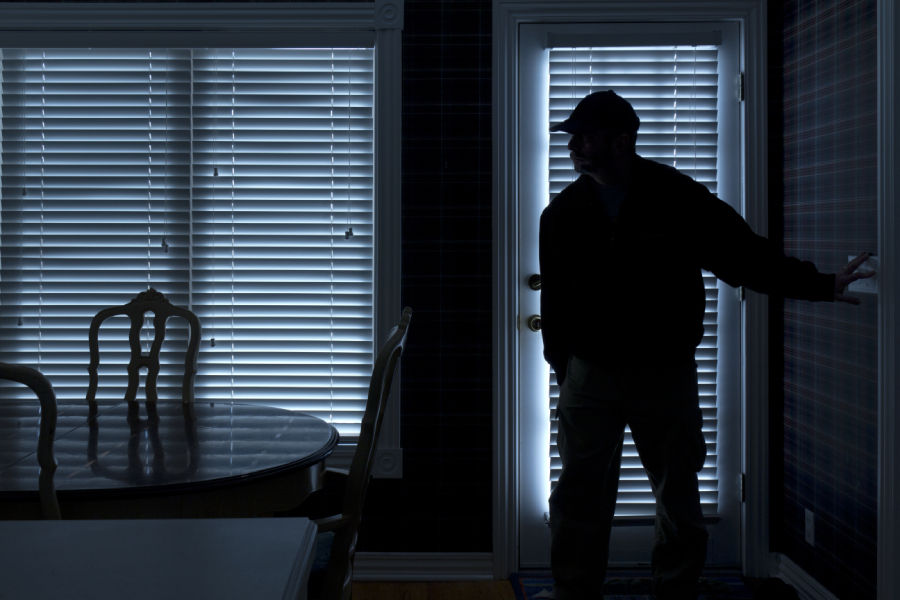 Burglars in Los Angeles Are Allegedly Deploying WiFi Jammers To Thwart Home Security Systems and Surveillance Cameras.