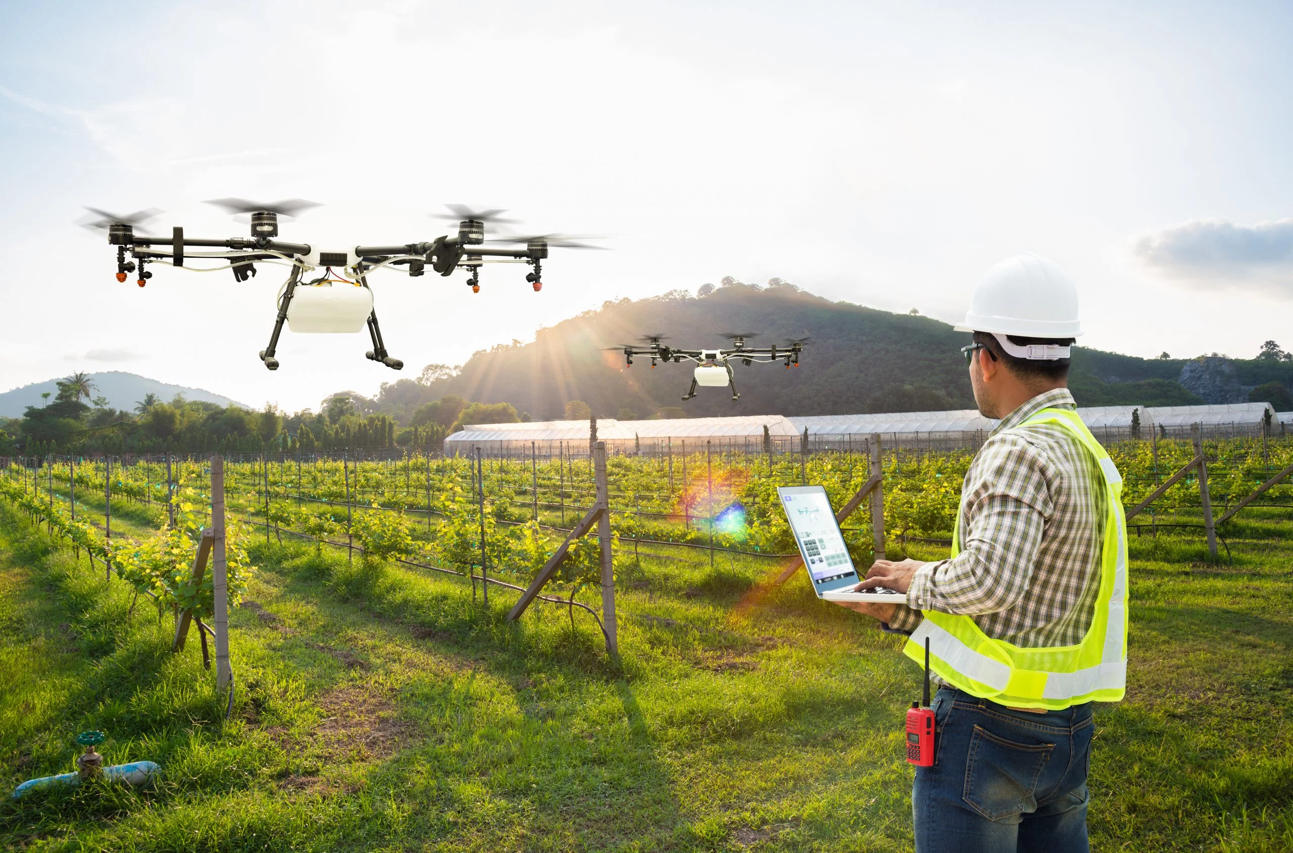 Tech Titans Larry Ellison and Elon Musk Team Up To Boost Farming With AI Magic