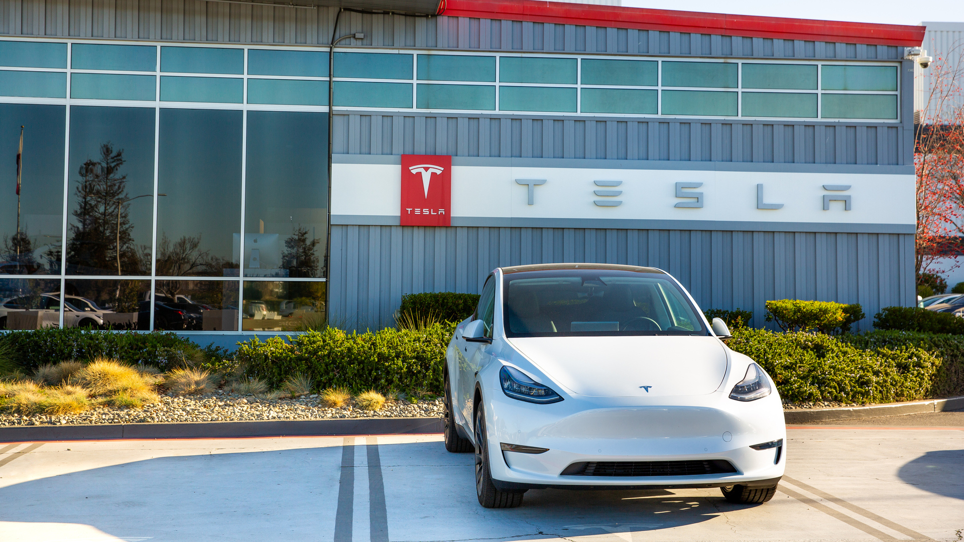 Tesla's Stock Slump: What's Behind the Electric Giant's Latest Challenges?