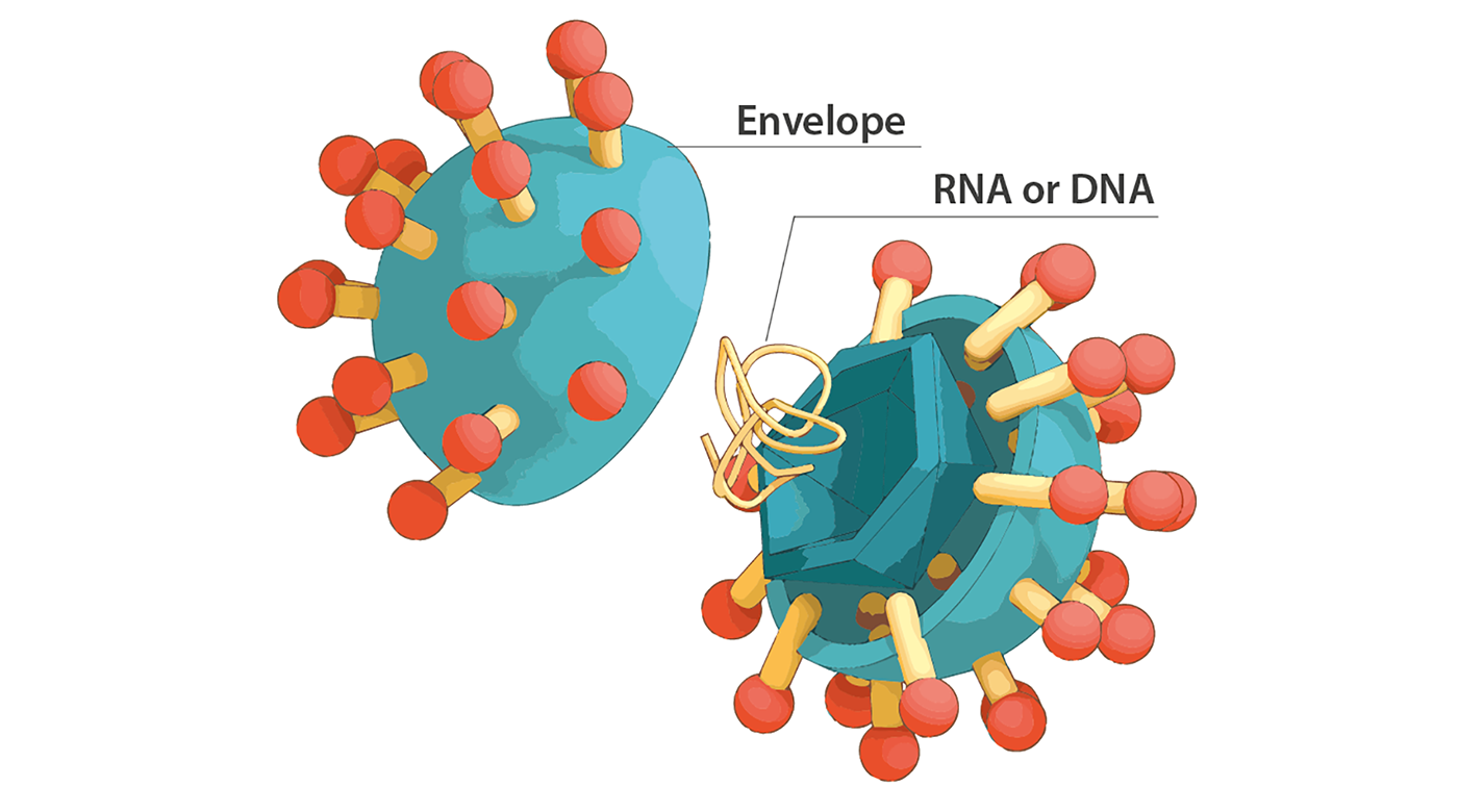 Unpacking the Mystery: How COVID-19 and Its Vaccine Might Be Changing Our DNA and Fueling Cancer Concerns