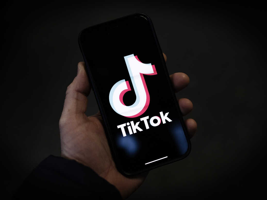 Will TikTok Vanish? How a Possible Ban Shakes Up Tech Titans and Your Social Media Feed