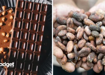 Alert for Chocolate Lovers Why Your Favorite Sweet Might Soon Be Hard to Find