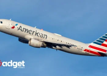 American Airlines Introduces Welcomed Change to Pet Travel Policy