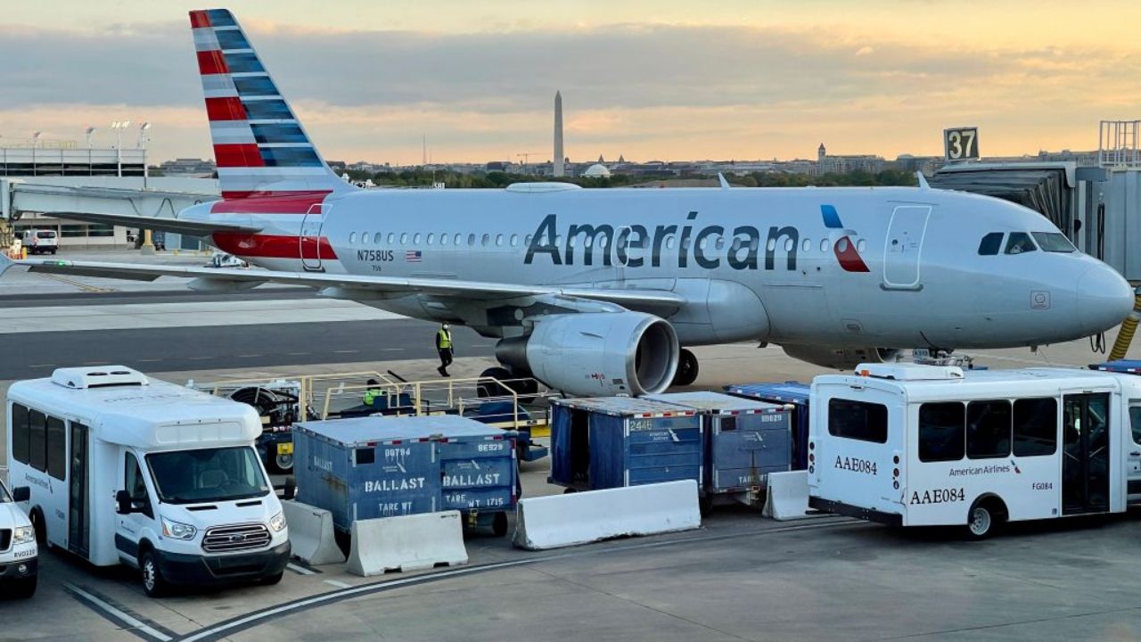 American Airlines Has Implemented a Significant Change That Will Surely Please Pet Owners