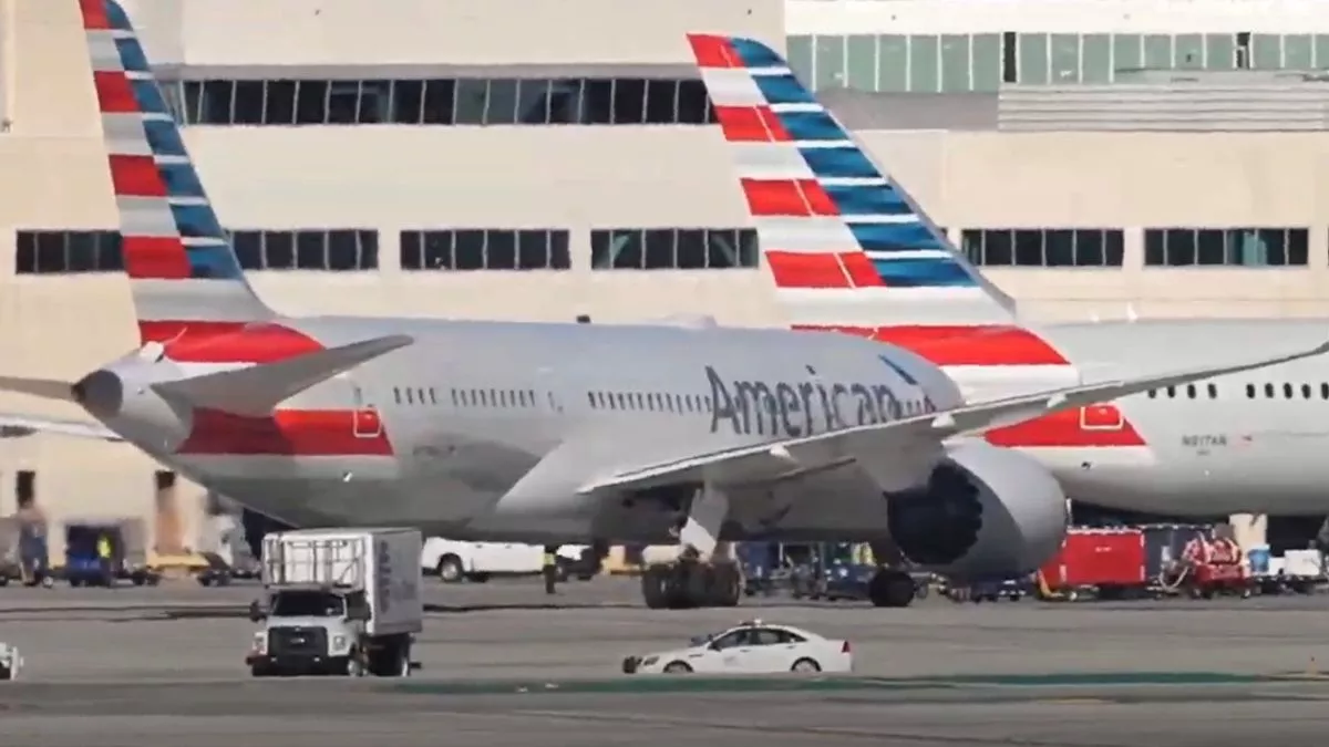 American Airlines Introduces Welcomed Change to Pet Travel Policy