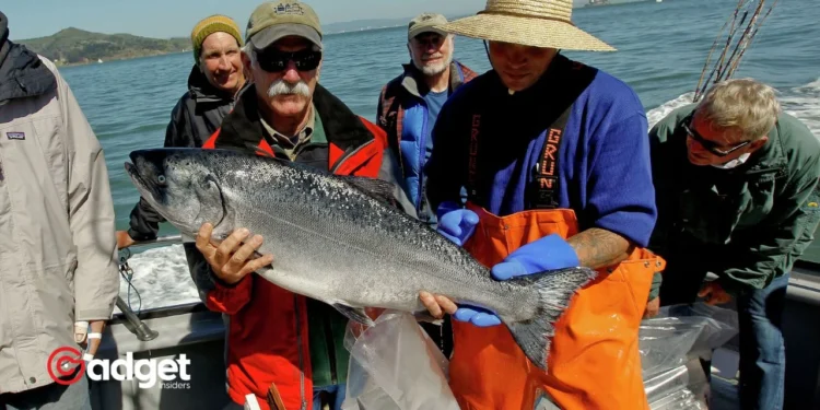 California Halts Salmon Fishing Again Why Our Favorite Seafood is Disappearing and What It Means for Your Dinner Table