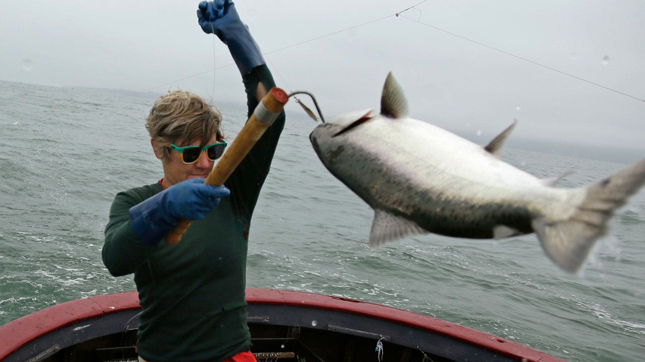 Depleted Salmon Supplies Have Banned California Coastal Salmon Fishing for the Second Year srcset=