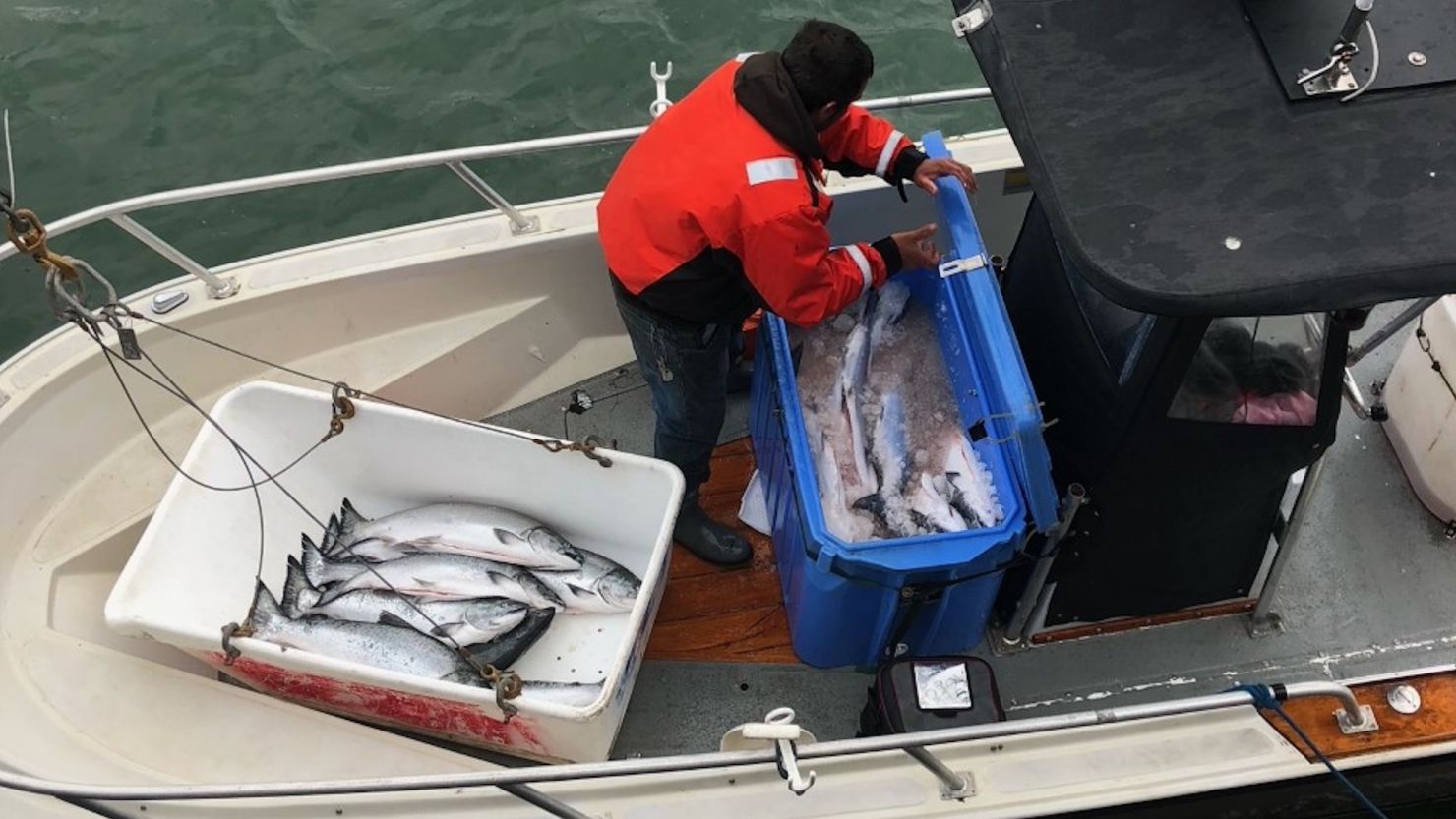 California Halts Salmon Fishing Again: Why Our Favorite Seafood is Disappearing and What It Means for Your Dinner Table