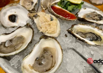 California Hit by Oyster Recall What You Need to Know About the Norovirus Alert