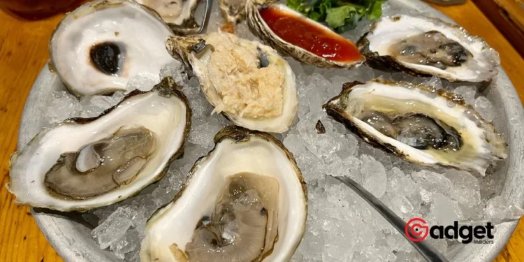 California Hit by Oyster Recall What You Need to Know About the Norovirus Alert