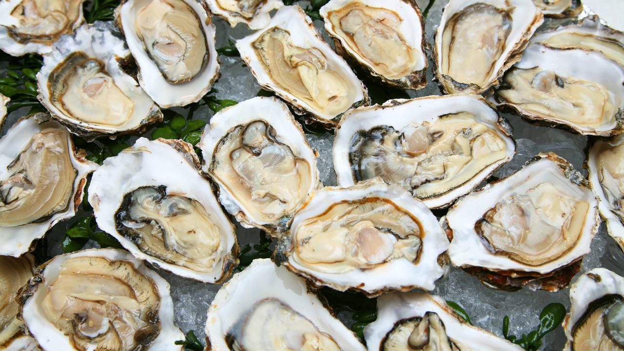 California Hit by Oyster Recall: What You Need to Know About the Norovirus Alert