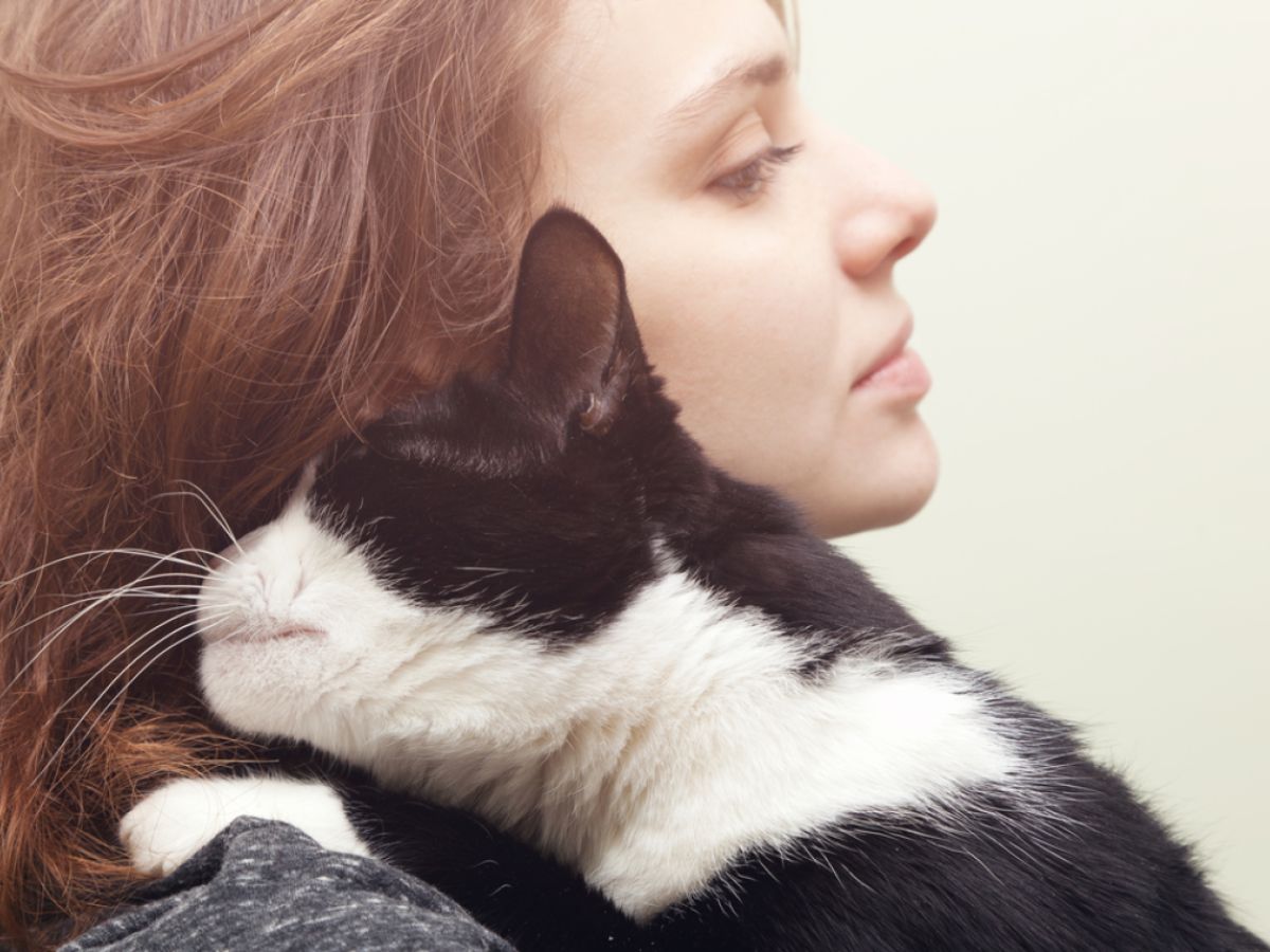 Could Your Pet Cat Be Influencing Your Mental Health New Study Links Cats to Higher Schizophrenia Risk3
