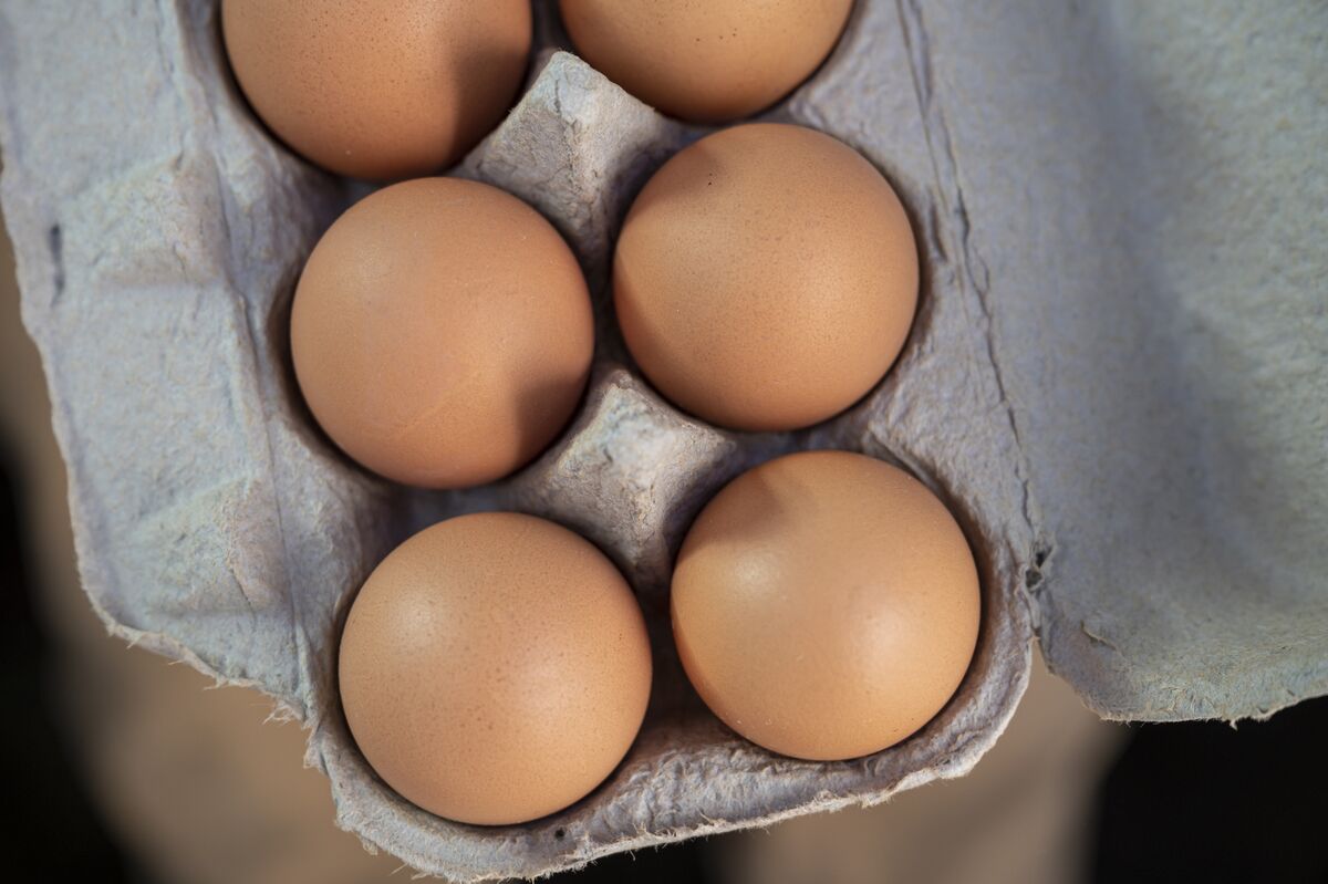 Egg Crisis Alert Major US Egg Producer Faces Bird Flu Scare, Millions of Chickens Affected--