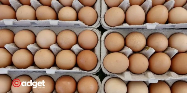 Egg Crisis Alert Major US Egg Producer Faces Bird Flu Scare, Millions of Chickens Affected