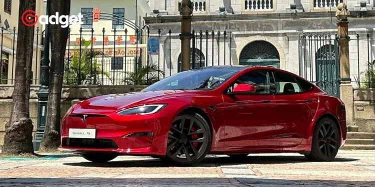 Elon Musk Promises Budget-Friendly Teslas Soon- Will Lower Prices Boost Sales