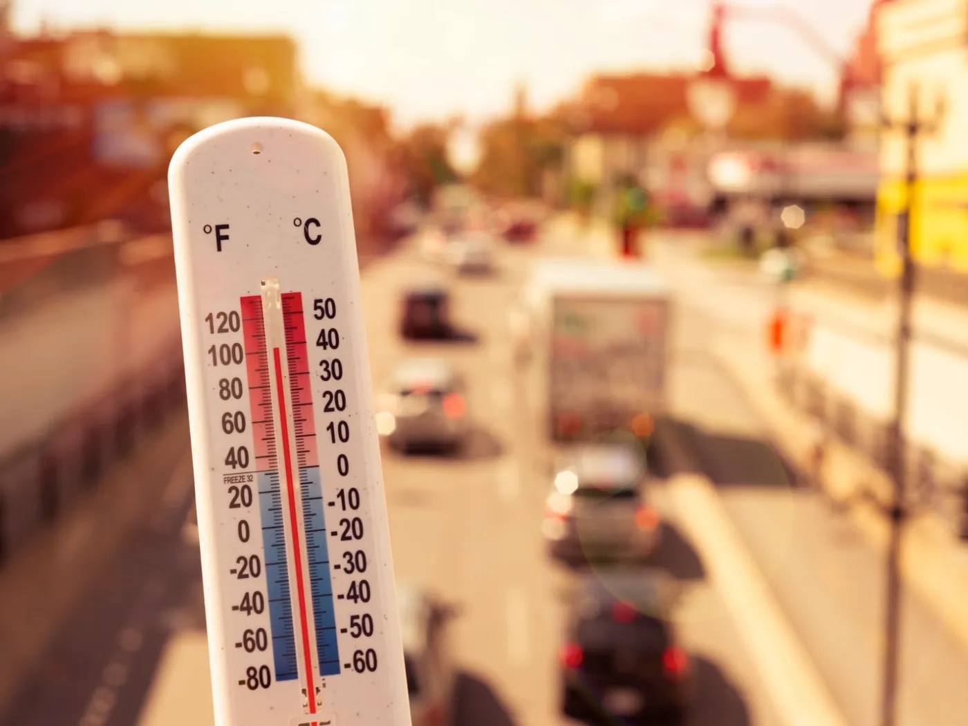 Feeling the Burn Which U.S. States Will Face the Hottest Summer Ever--