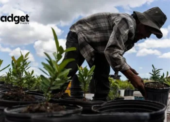 Florida's Heated Debate New Law Blocks Crucial Heat Protections for Outdoor Workers