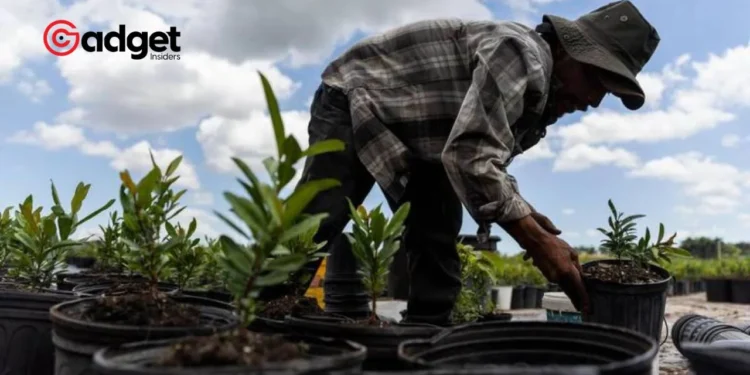 Florida's Heated Debate New Law Blocks Crucial Heat Protections for Outdoor Workers