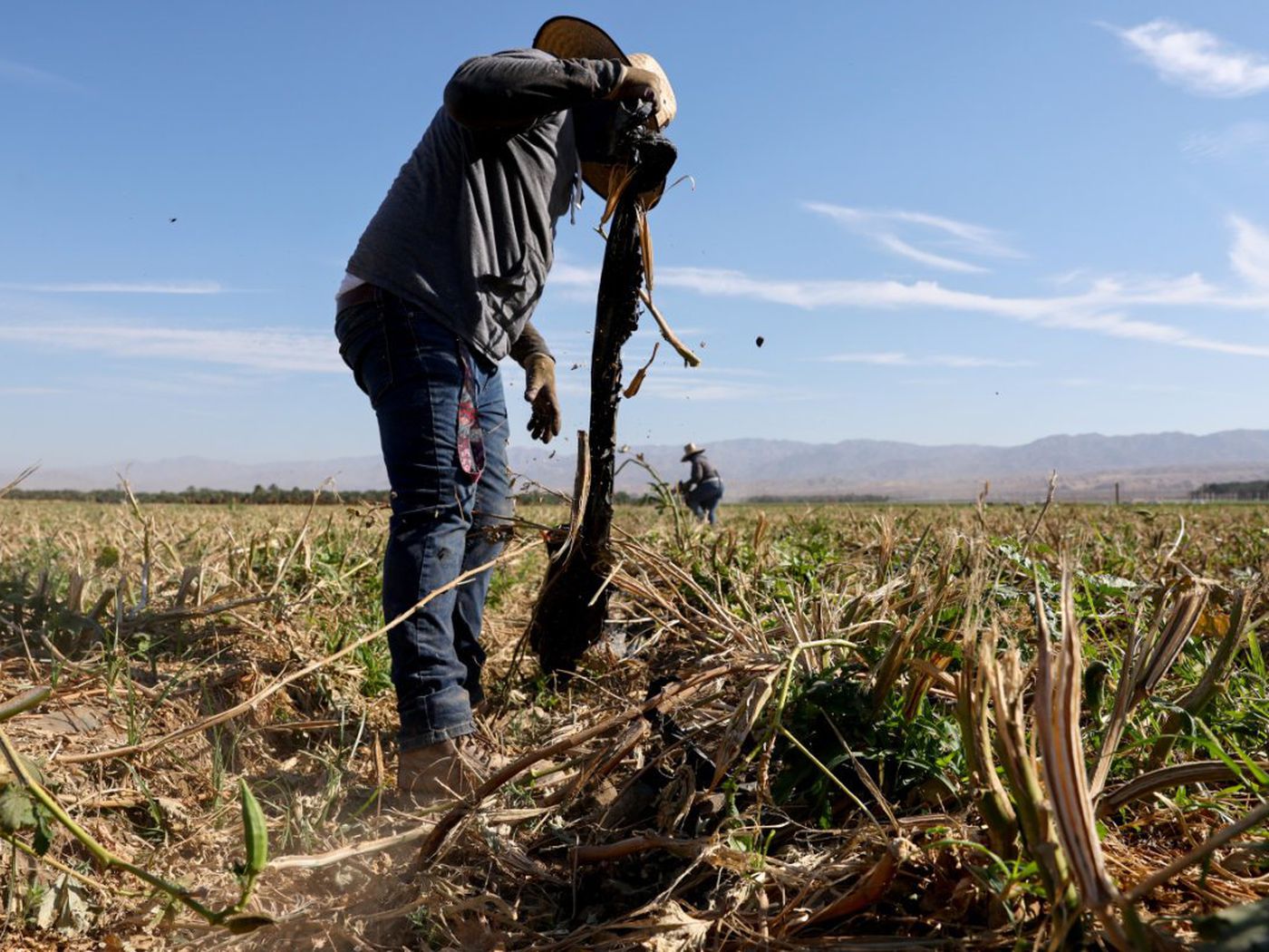 Florida's Heated Debate: New Law Blocks Crucial Heat Protections for Outdoor Workers