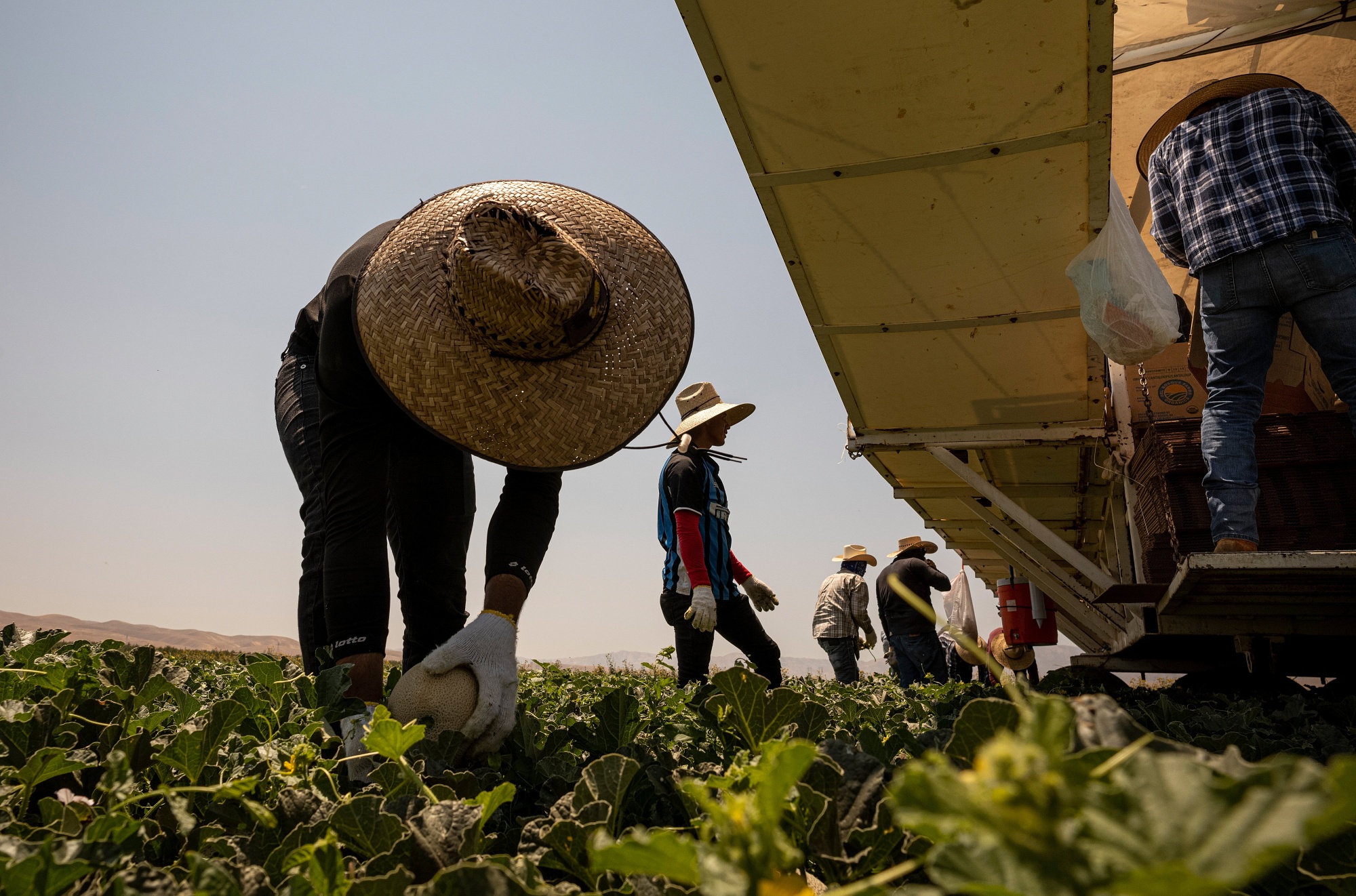 Florida Revokes Heat Safeguards for Workers Just Before the Summer Season