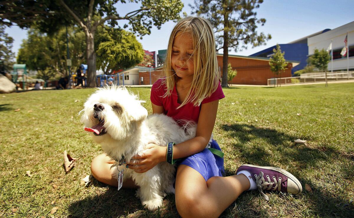 People Living in California Run the Risk of Being Left Homeless Because of Their Pets