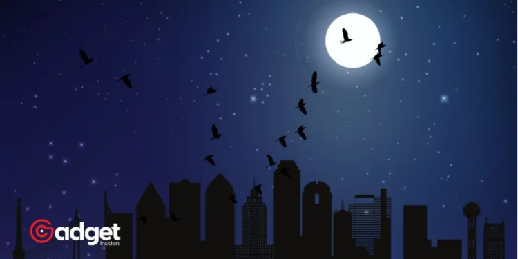 Navigating the Night Texas' Innovative Measures to Protect Migrating Birds