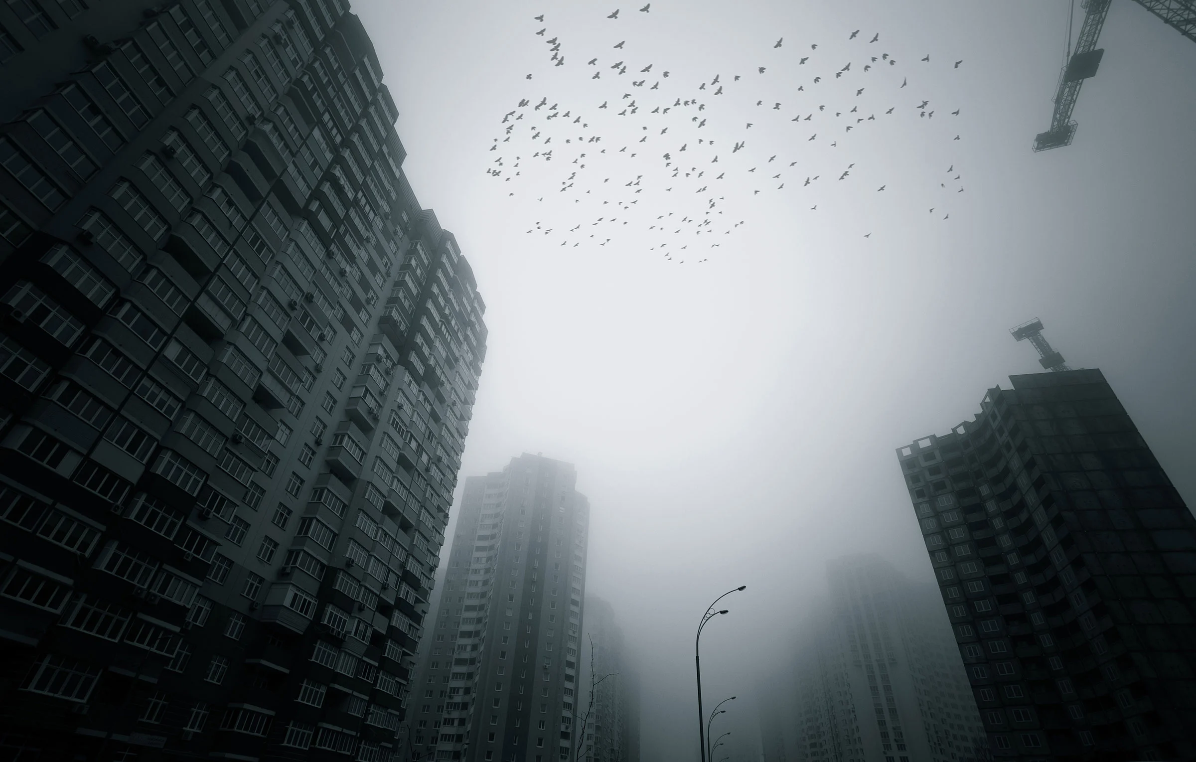 Navigating the Night Texas' Innovative Measures to Protect Migrating Birds