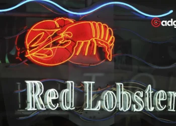 Red Lobster's Unlimited Shrimp Gamble Will It Save Them from Bankruptcy or Sink the Ship