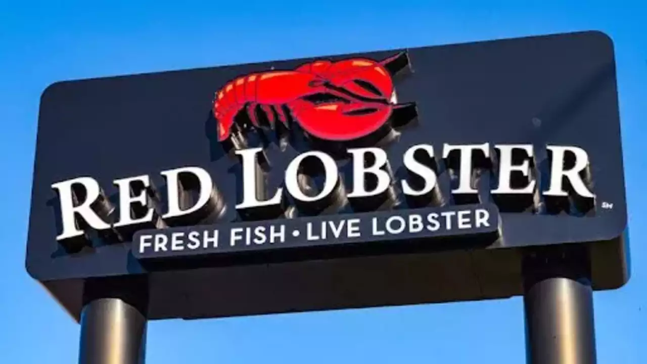 Red Lobster's Unlimited Shrimp Gamble: Will It Save Them from Bankruptcy or Sink the Ship?