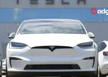 Tesla's Big Shake-Up Why Elon Musk’s Recent Job Cuts and Slowing Sales Are Shaking Investor Confidence