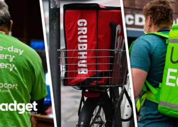 The Last Delivery How Market Saturation Led to the Closure of a Once-Promising Food Delivery Service