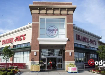 Trader Joe's Latest Hit Lemon Torchietti Pasta's Big Comeback and Why Shoppers Are Stocking Up-