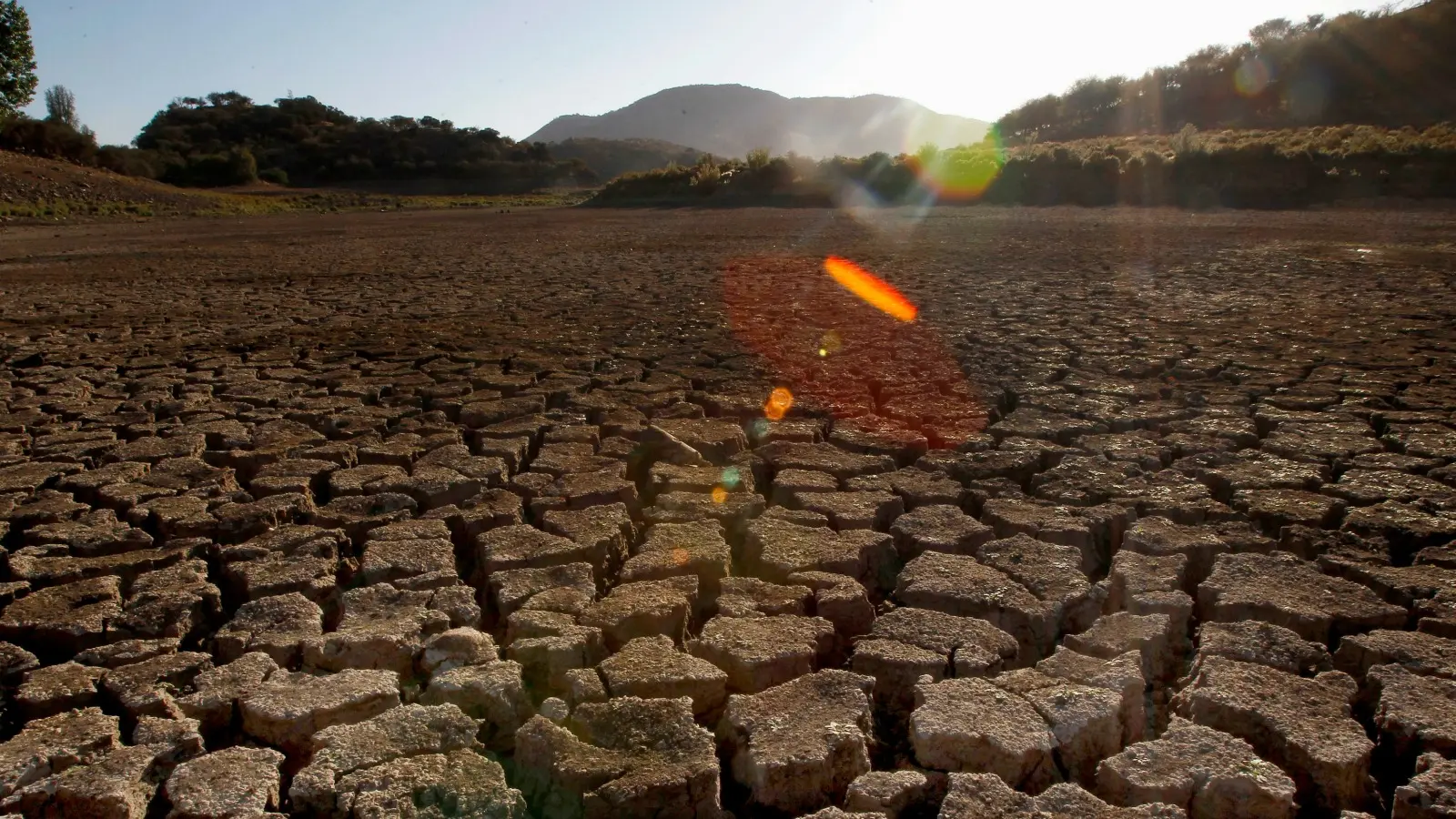 A Summer Without El Niño Is on the Horizon. Here’s What the Potential Impact Will Be on the United States