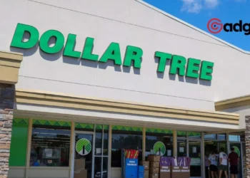 Why Are Prices Skyrocketing at Dollar Tree Shoppers Shocked by Up to $7 Tags