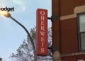 Why Did Oberweis Ice Cream Just File for Bankruptcy Exploring the Fall of a 90-Year-Old Ice Cream Giant