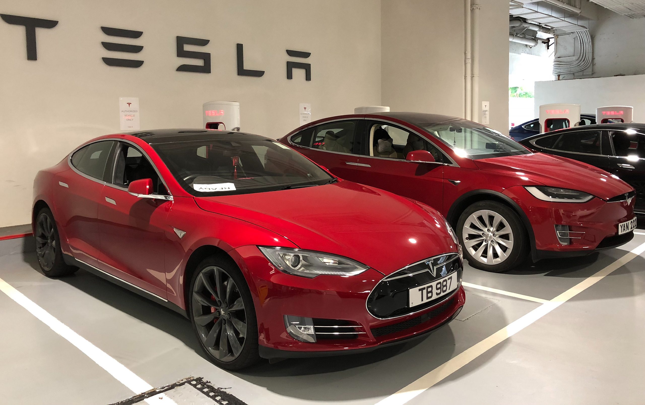 Tesla Continues To Dominate the US Market With Its Unparalleled Brand Loyalty