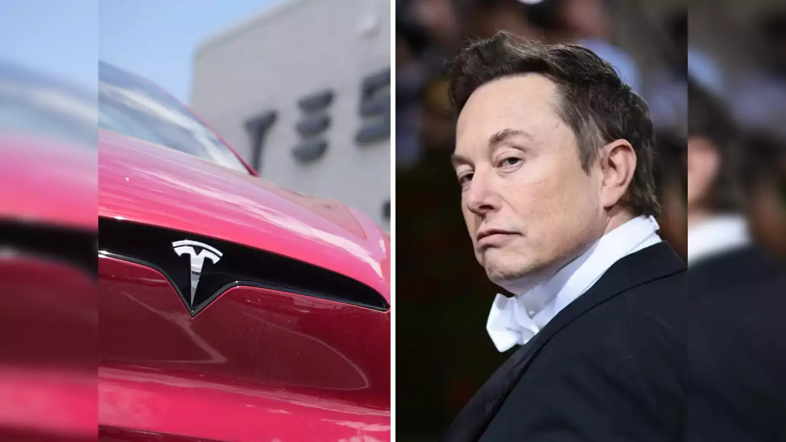 elon-musk-seeks-tesla-shareholder-vote-on-moving-incorporation-to-texas