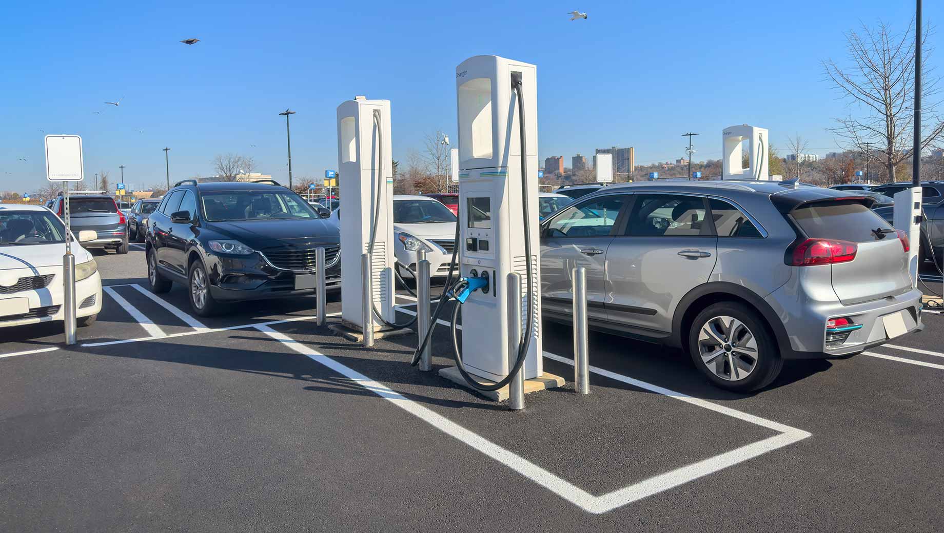 Electric Vehicles: Unstoppable Momentum or Political Roadblock?