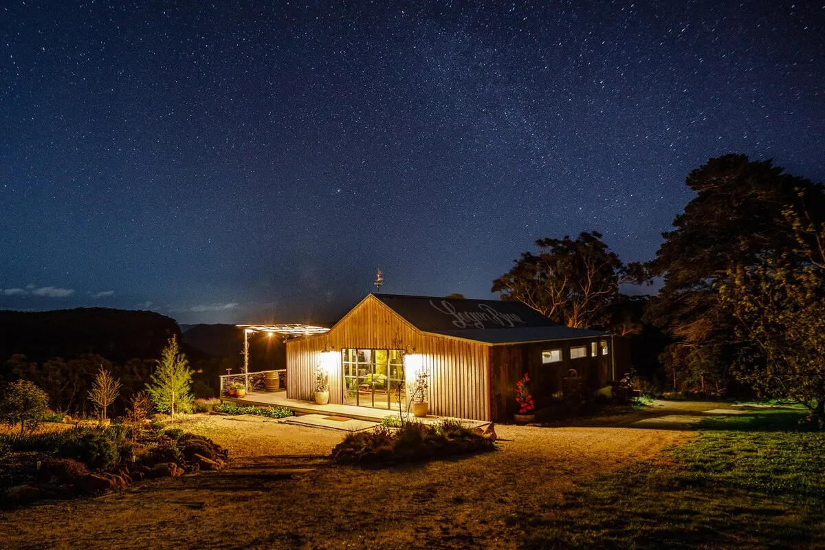 Airbnb Launches Real-Life ‘Up’ Adventure House: Book Your Dream Stay with Celebs and Cartoons!