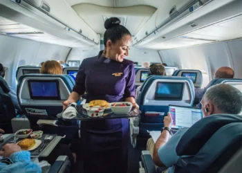 American Airlines' Startling Flight Attendant Salary Sparks Outrage